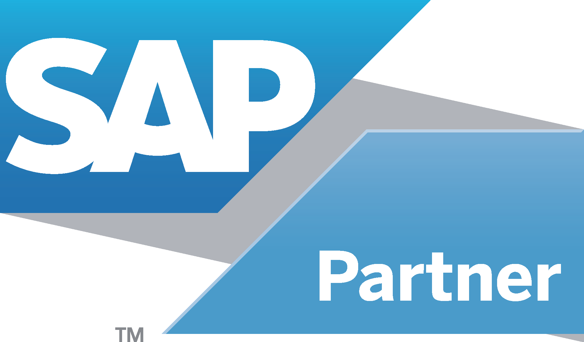 SAP Gold Partner Logo